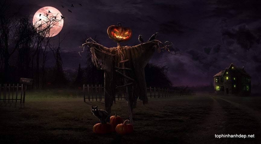 100 Hình ảnh Halloween làm hình nền, ảnh bìa hoặc avatar